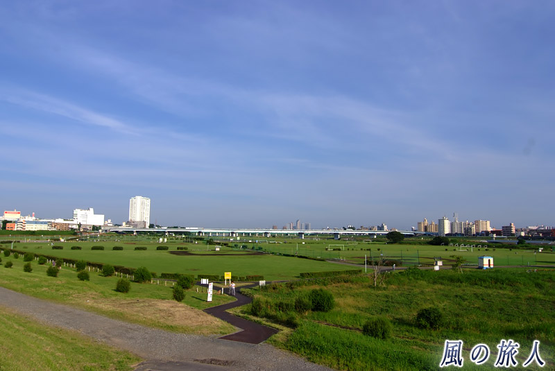 二子玉川と川崎を眺めるの写真