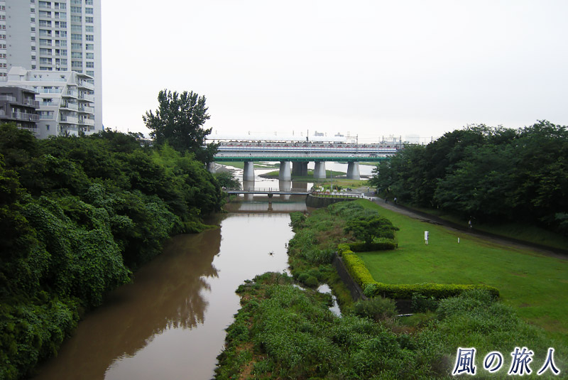 野川と兵庫橋