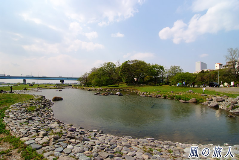二子玉川兵庫島公園　兵庫池の写真