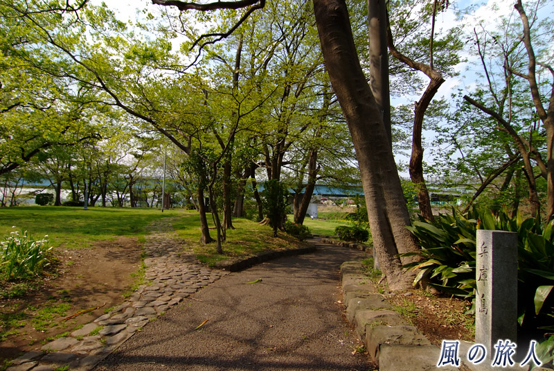 二子玉川兵庫島公園　丘の上の写真