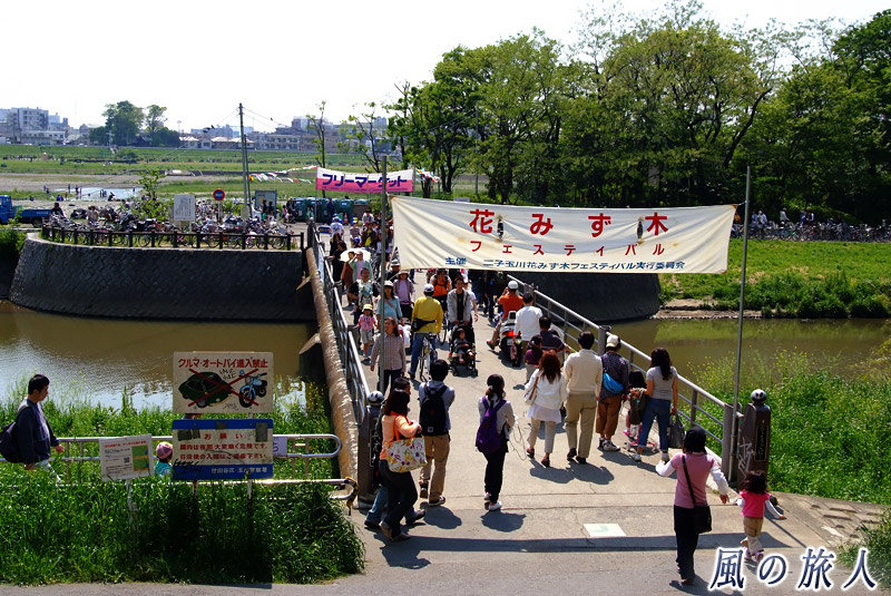 二子玉川兵庫島公園　花みず木フェスティバルの写真