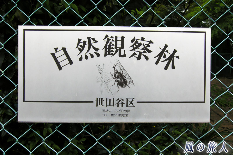 玉川台二丁目五郎様の森緑地　自然観察林の看板の写真