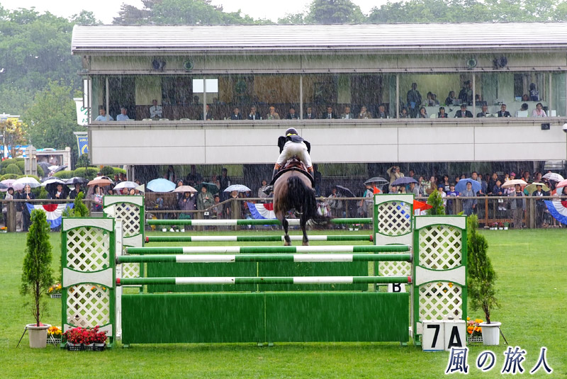 ＪＲＡ馬事公苑ホースショー　雨の中の競技の写真
