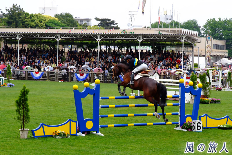 ＪＲＡ馬事公苑　グラスアリーナでの馬術競技の写真