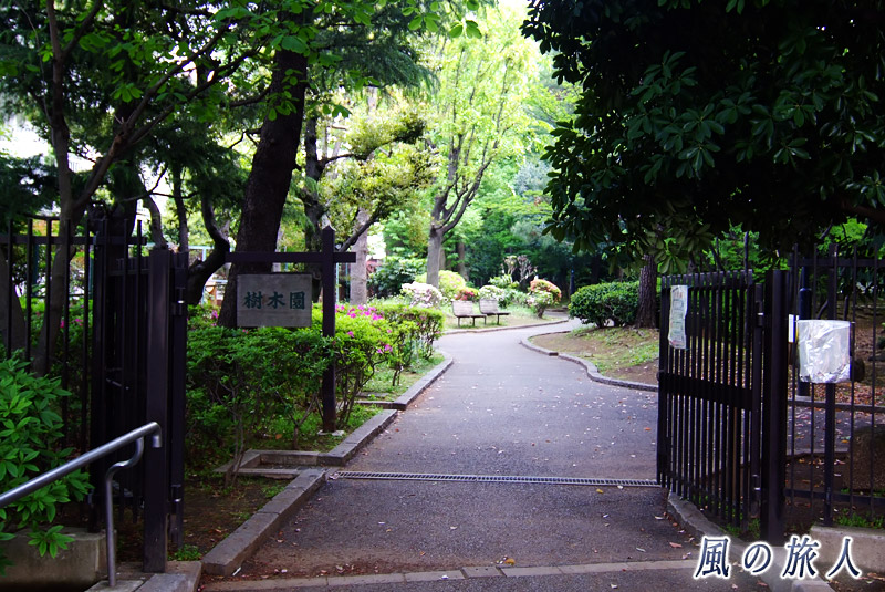 駒沢緑泉公園　樹木園の入り口の写真