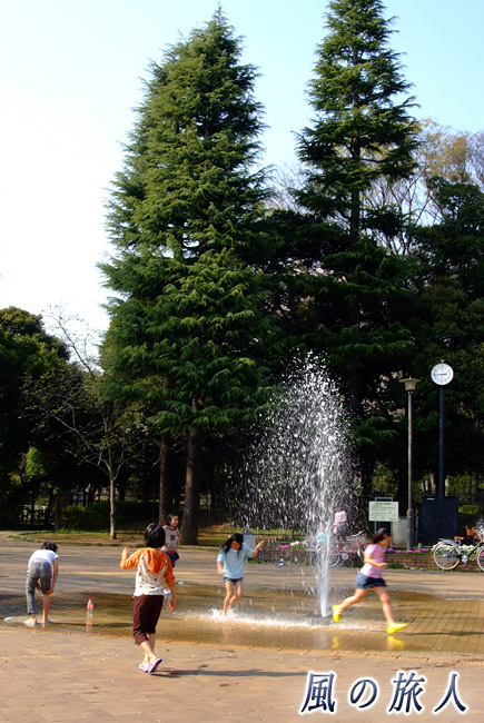 駒沢緑泉公園　噴水で水遊びをする子供達の写真