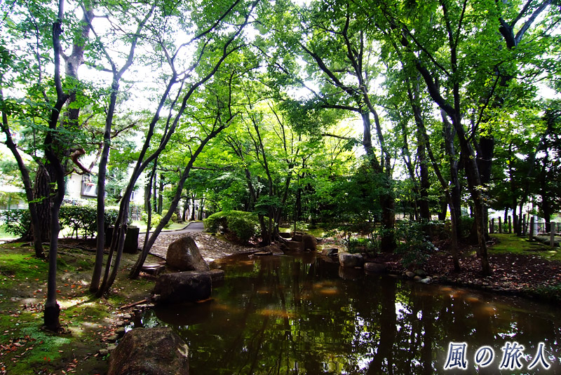 駒沢緑泉公園　樹木園の池の写真