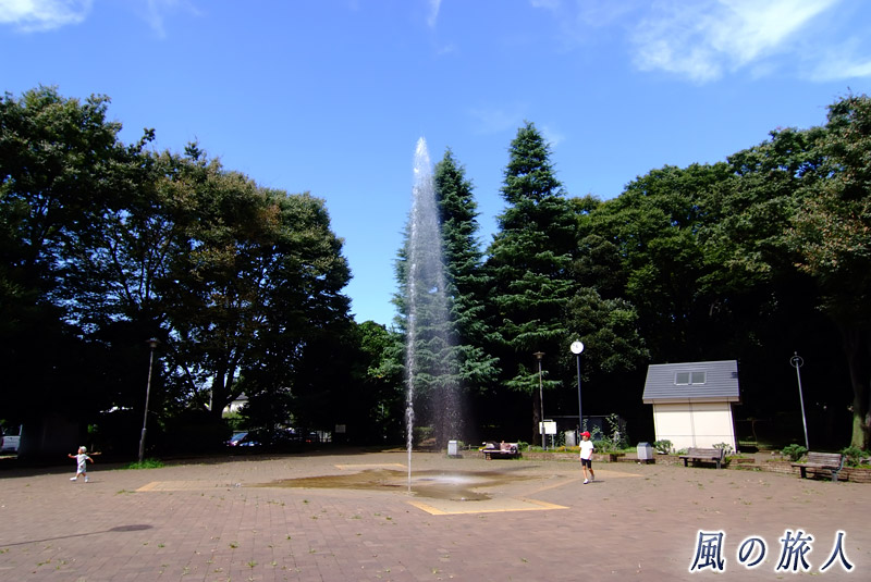 駒沢緑泉公園　噴水のある広場の写真