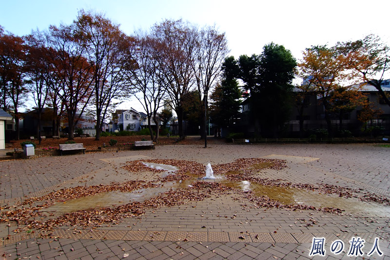 駒沢緑泉公園　噴水の落ち葉アートの写真