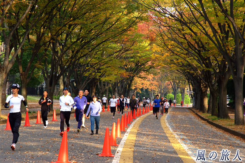駒沢オリンピック公園　ジョギングコースの写真