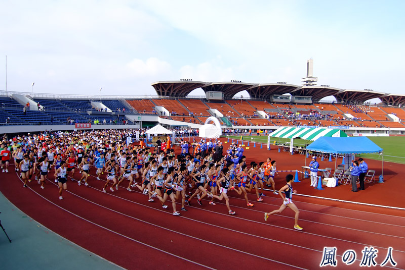 駒沢オリンピック公園　246ハーフマラソン時の陸上競技場の様子を写した写真