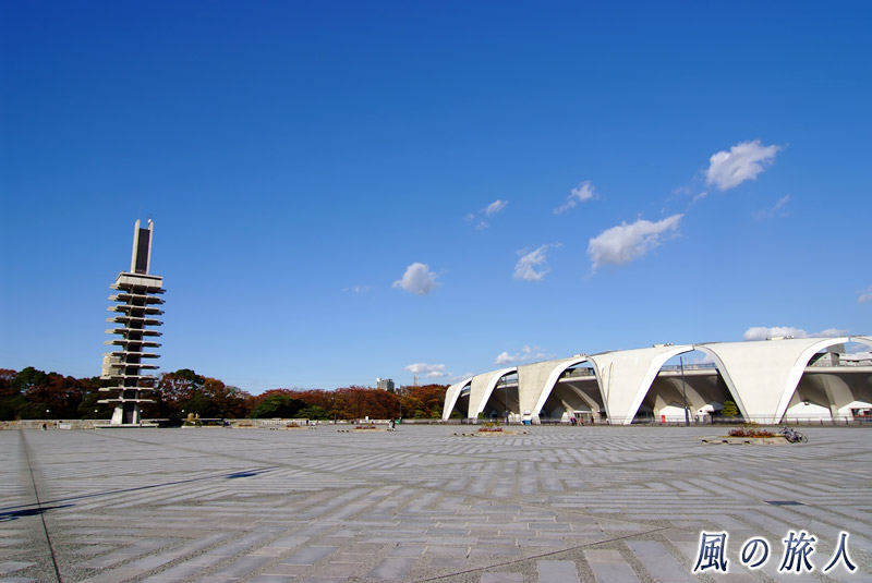 駒沢オリンピック公園　中央広場の様子を写した写真
