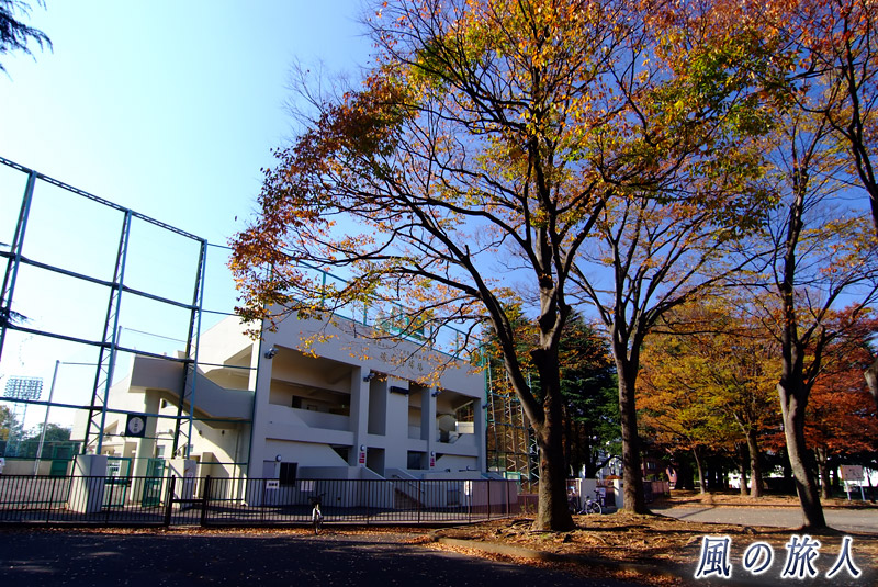 駒沢オリンピック公園　駒沢硬式野球場を写した写真