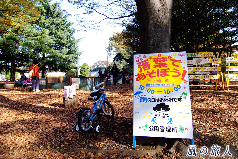 駒沢オリンピック公園　落ち葉を利用した子供用遊び場の写真