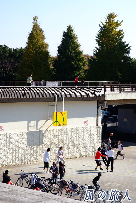 駒沢オリンピック公園　バスケットを楽しむ人たちの写真