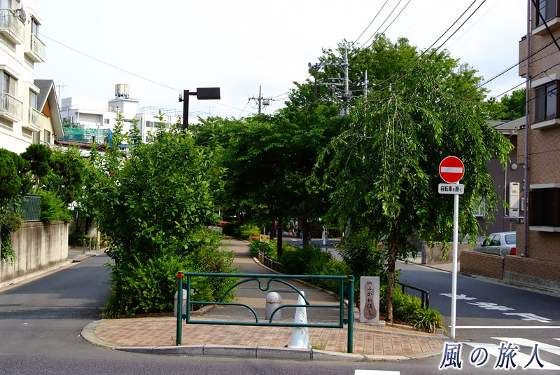 呑川緑道公園　駒沢通りの呑川橋の写真