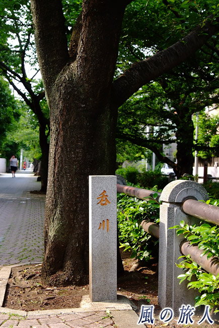 呑川親水公園 呑川の碑の写真