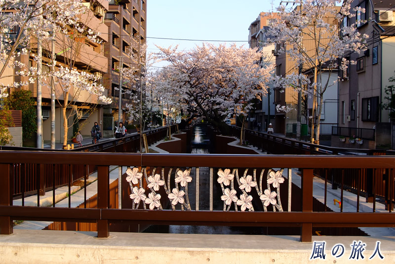 谷沢川　桜のデザインが施されている栄橋の写真