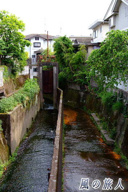 谷沢川　姫の橋の下流の浄化装置跡の写真