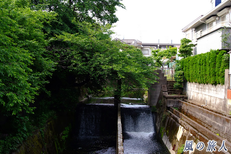 谷沢川　姫の橋の上流部の写真