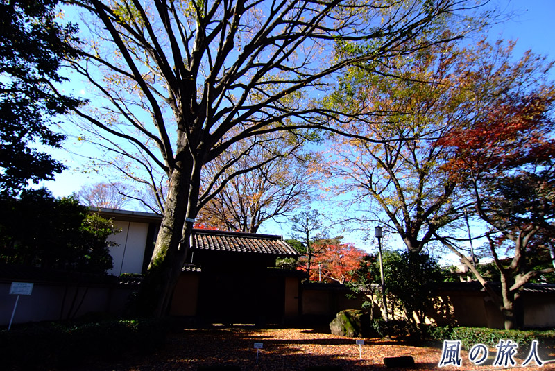 上野毛五島美術館　紅葉時の不老門の写真