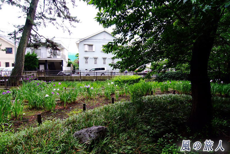 上野毛自然公園　丸子川沿いの広場の写真