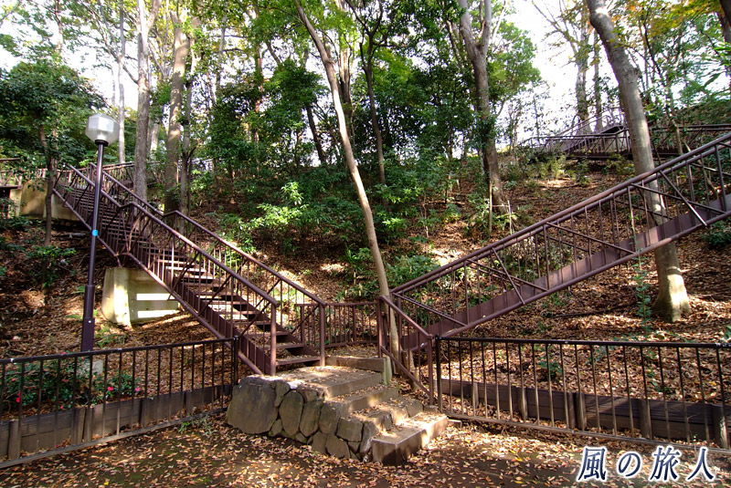 上野毛自然公園　崖と林と階段の写真