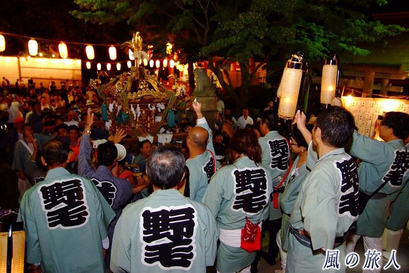 野毛六所神社の秋祭り　大神輿の模擬宮入の写真