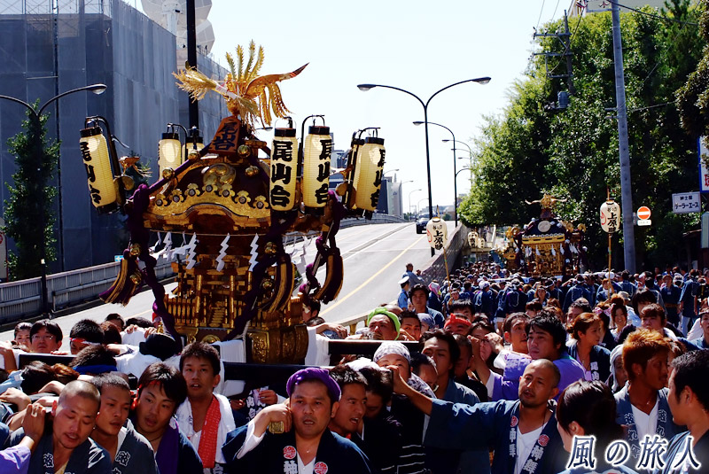 等々力玉川神社秋祭り　町会神輿の連合渡御の様子を写した写真