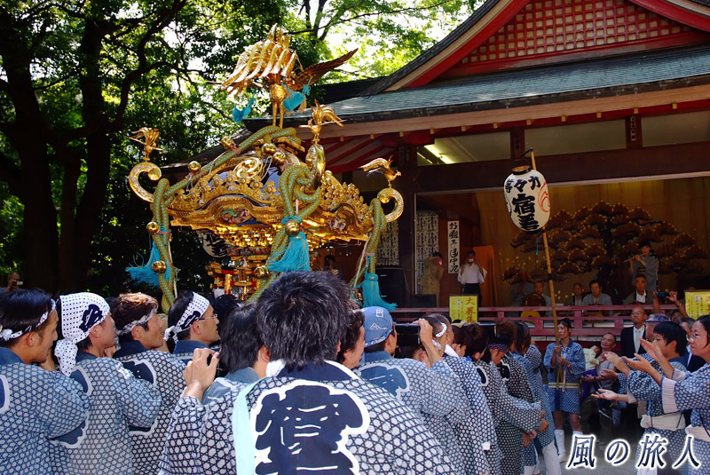等々力玉川神社秋祭り　町会神輿の宮入を写した写真
