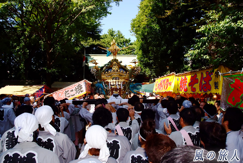等々力玉川神社秋祭り　町会神輿の宮入を写した写真