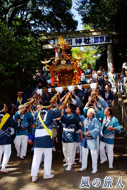 等々力玉川神社秋祭り　山谷睦会の写真