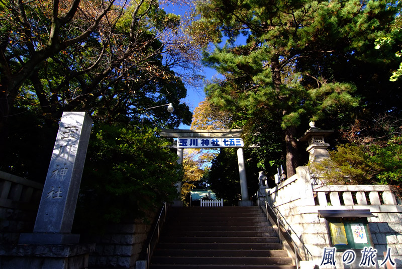 等々力玉川神社 神社の入り口の写真