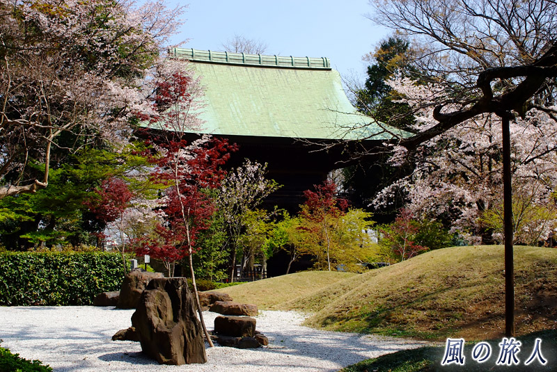 九品仏浄真寺　日本庭園と楼門の写真