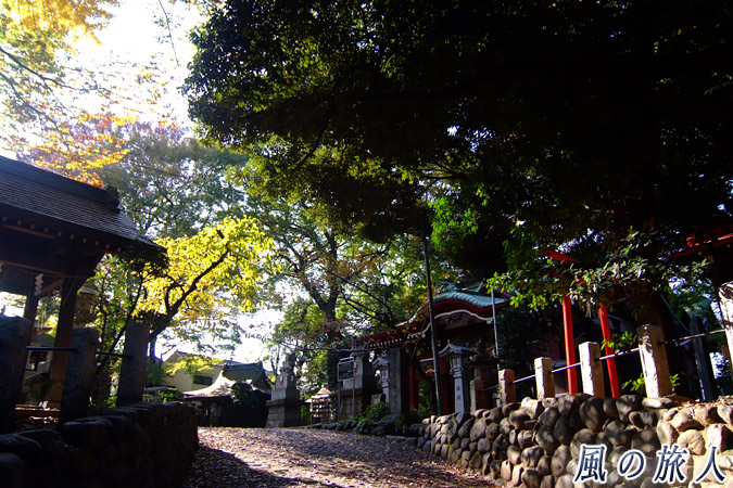 駒繁神社　坂の上に見える社殿の写真