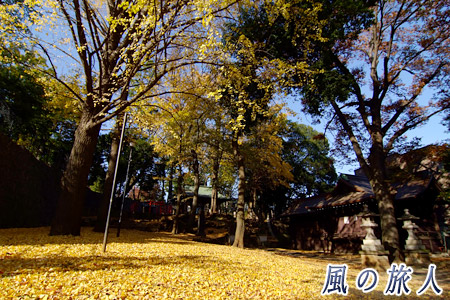 三宿神社の紅葉の写真