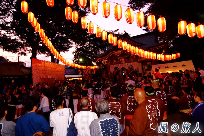 若林稲荷神社の神輿渡御2009年　取り囲む観客と拝殿前へ進む神輿の写真