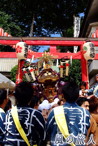 若林稲荷神社の神輿渡御2009年　鳥居くぐりの写真