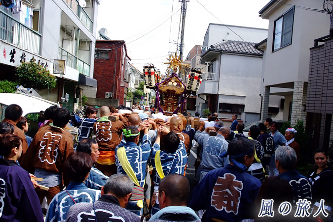 若林稲荷神社の神輿渡御2009年　路地を進む神輿の写真