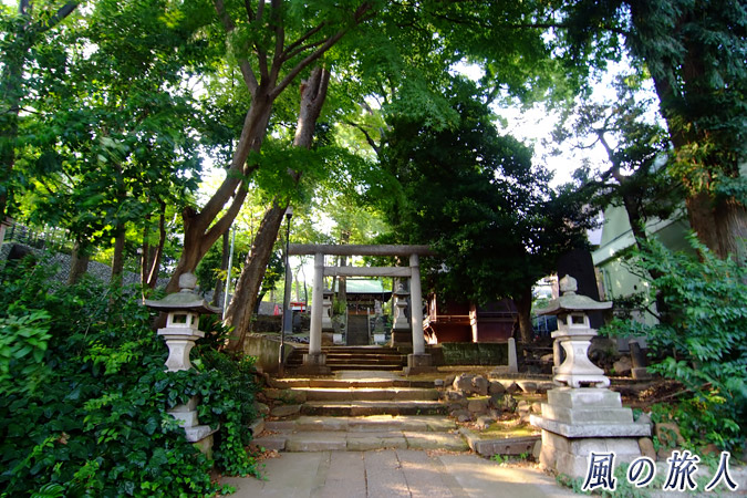 三宿神社　参道と二の鳥居の写真