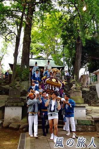 三宿神社の祭礼　神輿の移動