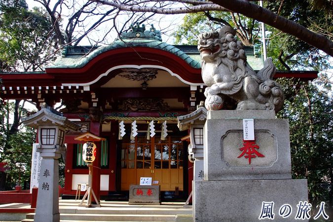 駒繁神社　狛犬と社殿の写真