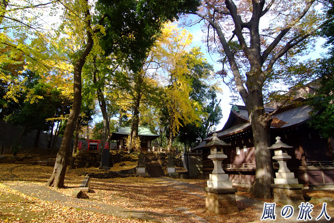 三宿神社　神楽殿のある広場の写真