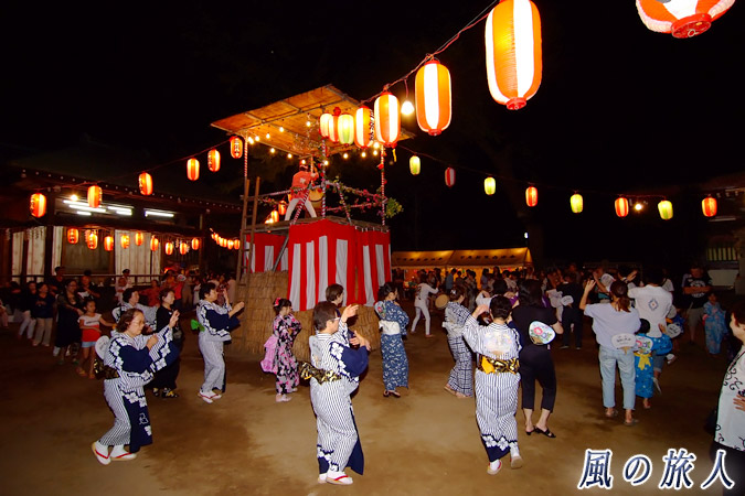 駒繁神社　盆踊り2013年の写真