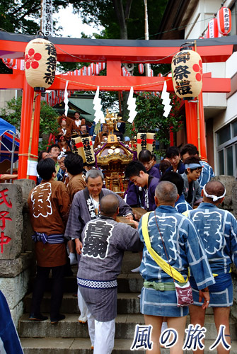 若林稲荷神社の神輿渡御2013年　鳥居をくぐる神輿の写真