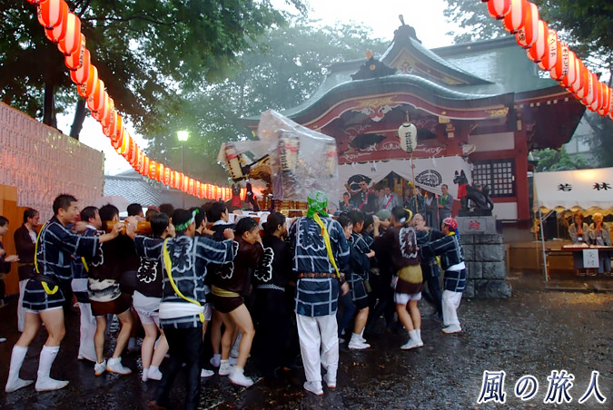 若林稲荷神社の神輿渡御2013年　土砂降りの中の宮入の写真