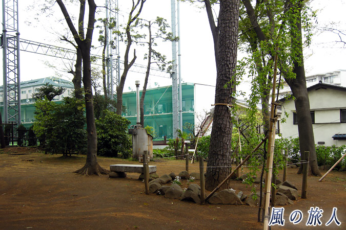 弦巻神社　お隣のゴルフの練習場の写真