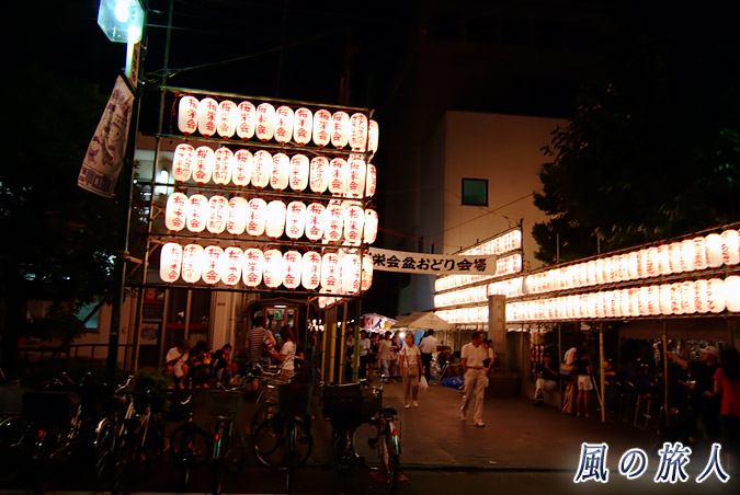ホタル祭りとサギ草市　提灯が並ぶ天祖神社参道の写真