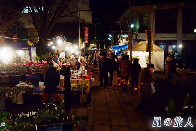 上町天祖神社　ボロ市　植木屋が並ぶ参道の写真