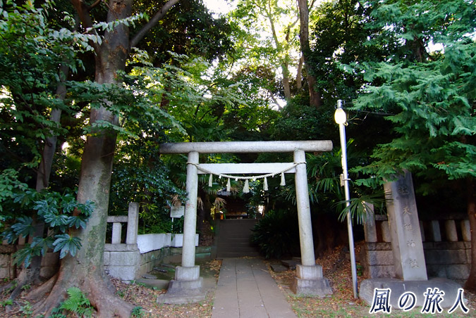 経堂天祖神社　鳥居前の写真